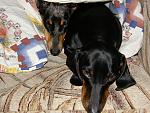     
: P4300064.jpg
: 34
:	193.3 
ID:	2623765