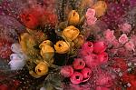     
: FLOWERS.JPG
: 10
:	56.1 
ID:	262407