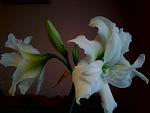     
: Фото0135.jpg
: 11
:	222.7 
ID:	2624429