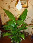     
: DSC07955.jpg
: 33
:	91.7 
ID:	2625986