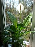     
: DSC07959.jpg
: 29
:	144.0 
ID:	2625987