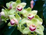     
: 4f659959a7e9.jpg
: 18
:	57.8 
ID:	2626303