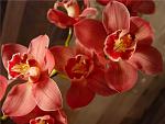     
: article_image-image-article.jpg
: 19
:	52.6 
ID:	2626305
