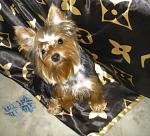     
: photo (13).jpg
: 24
:	140.2 
ID:	2627750