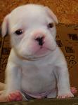     
: DSC00004.jpg
: 30
:	35.3 
ID:	262824
