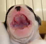     
: DSC00016.jpg
: 31
:	50.5 
ID:	262826