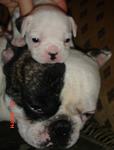     
: DSC00026.jpg
: 32
:	29.6 
ID:	262830