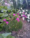     
: Фото051.jpg
: 47
:	134.2 
ID:	2628513