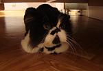     
: DSC03666.JPG
: 31
:	30.9 
ID:	2629156