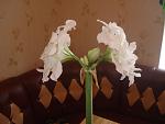     
: DSC09995.jpg
: 12
:	65.1 
ID:	2629415