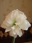     
: DSC09997.jpg
: 16
:	42.8 
ID:	2629420