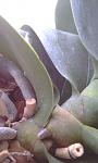     
: IMAG0327.jpg
: 85
:	61.7 
ID:	2630567