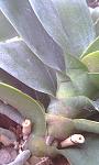     
: IMAG0328.jpg
: 87
:	87.7 
ID:	2630569