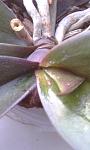     
: IMAG0332.jpg
: 99
:	56.3 
ID:	2630572