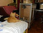     
: DSCN6567.jpg
: 41
:	140.9 
ID:	2631069