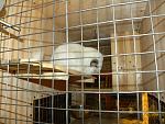     
: DSCN6606.jpg
: 24
:	138.1 
ID:	2633426