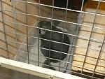     
: DSCN6611.jpg
: 25
:	127.9 
ID:	2633434