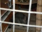     
: DSCN6622.jpg
: 27
:	84.3 
ID:	2633480