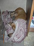     
: DSCN1239.jpg
: 20
:	149.3 
ID:	2635770