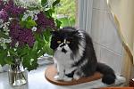     
: DSC_0005.jpg
: 33
:	74.4 
ID:	2640810