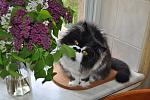     
: DSC_0006.jpg
: 31
:	76.8 
ID:	2640811