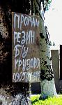     
: z_56c3fe2d.jpg
: 135
:	141.4 
ID:	2642439