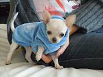     
: DSCN0656.jpg
: 62
:	105.7 
ID:	2642814
