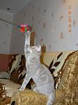     
: DSCN2826.jpg
: 27
:	96.7 
ID:	2643376