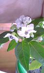     
: IMAG0227.jpg
: 23
:	53.5 
ID:	2643926
