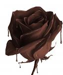     
: 7709_content.jpg
: 7
:	31.6 
ID:	2649165