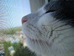     
: P5180085mini.jpg
: 17
:	138.3 
ID:	265015