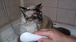     
: P7150017mini.jpg
: 23
:	61.2 
ID:	265028