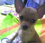     
: foto0316.jpg
: 15
:	23.8 
ID:	2650320