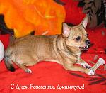     
: Djumm (90)_1.jpg
: 42
:	168.1 
ID:	2650373