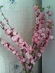     
: DSC04942.jpg
: 304
:	104.7 
ID:	2651815