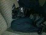     
: 12032011483.jpg
: 17
:	130.5 
ID:	2651930