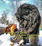     
: y_7d819a94.jpg
: 35
:	123.7 
ID:	2654056