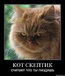     
: скептик.jpg
: 22
:	37.3 
ID:	2654926