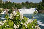     
: DSC_1611.jpg
: 25
:	167.7 
ID:	2655539