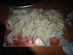     
: DSC00563.JPG
: 25
:	170.8 
ID:	2656114