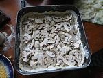     
: DSC00576.JPG
: 72
:	217.5 
ID:	2656164