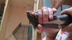     
: IMG_1209.jpg
: 45
:	33.6 
ID:	2659312