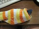     
: IMG_1267.jpg
: 62
:	55.0 
ID:	2659318