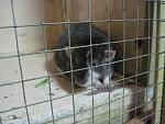     
: IMG_1315.jpg
: 26
:	42.2 
ID:	2659387