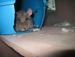     
: IMG_1312.jpg
: 22
:	30.3 
ID:	2659422