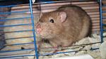     
: IMG_1212.jpg
: 25
:	32.4 
ID:	2659425