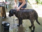     
: P7190129dog.jpg
: 32
:	145.3 
ID:	266086