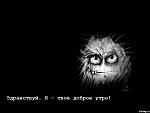     
: 98a1576a3545.jpg
: 13
:	19.5 
ID:	2665031