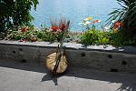     
: DSC_2634.jpg
: 27
:	227.7 
ID:	2665384