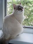     
: P5120015.jpg
: 28
:	91.7 
ID:	2667263